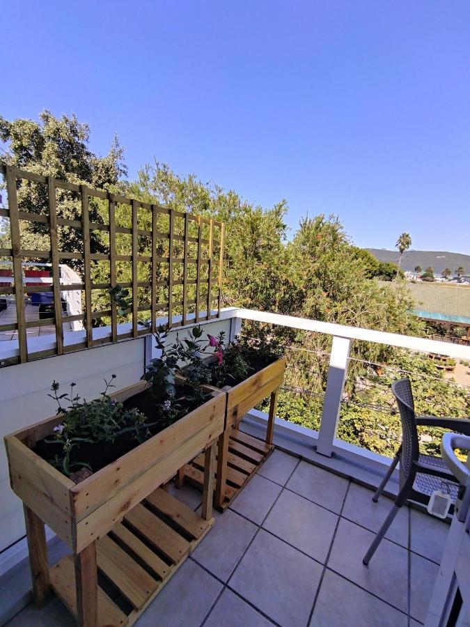 19 Malachite Mews Knysna Exteriör bild
